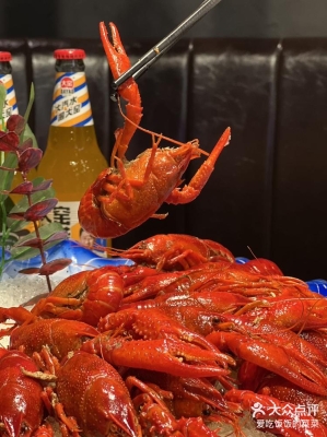 赤峰小桔子攝影電話多少號-第1張圖片