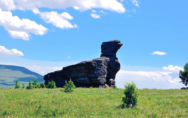 赤峰撿野鴨蛋電話是多少號-第1張圖片