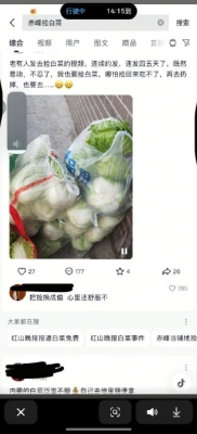 赤峰大白菜售賣電話地址查詢-第1張圖片