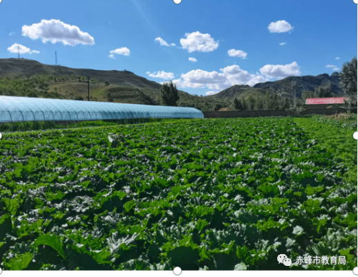 赤峰市勞動基地電話號碼-第1張圖片