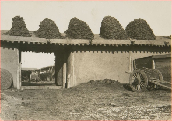 赤峰地區(qū)收牛糞電話號(hào)碼是多少-第1張圖片