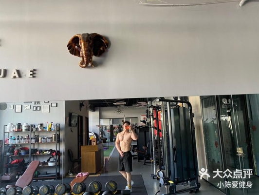 赤峰鸚鵡鳥幼鳥店鋪電話號(hào)碼-第1張圖片