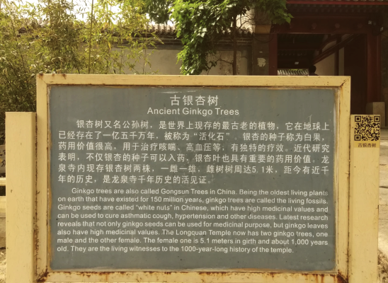 赤峰龍泉寺泉水供應(yīng)電話號(hào)碼-第1張圖片