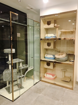 赤峰唯藝寵物店電話號(hào)碼-第1張圖片