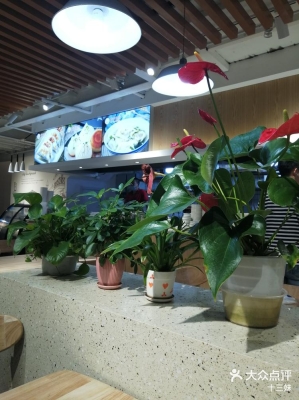 赤峰網(wǎng)紅生煎包店電話號碼-第1張圖片