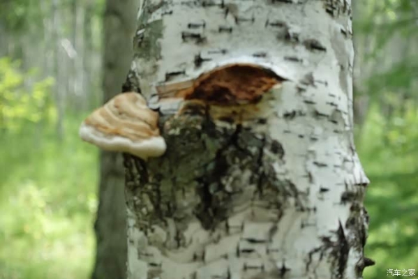 豐潤到赤峰班車電話號碼是多少-第1張圖片