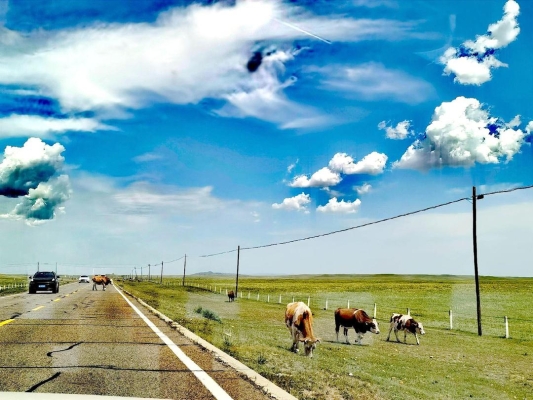 赤峰去大板路況查詢電話是多少-第1張圖片