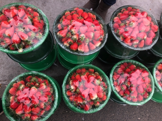 赤峰雨潤水果商鋪電話號(hào)碼查詢-第1張圖片