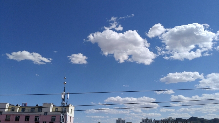 赤峰紅星菜館地址查詢(xún)電話號(hào)碼-第1張圖片