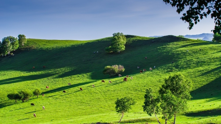 赤峰六道窩鋪電話地址查詢-第1張圖片