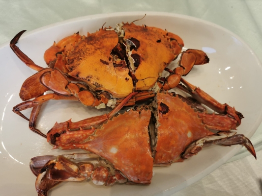 赤峰小笨驢飯店電話地址查詢-第1張圖片