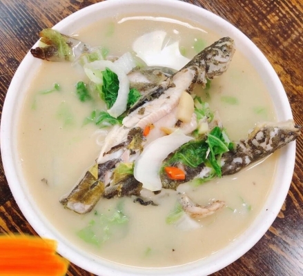 赤峰領(lǐng)航觀賞魚電話地址查詢-第1張圖片