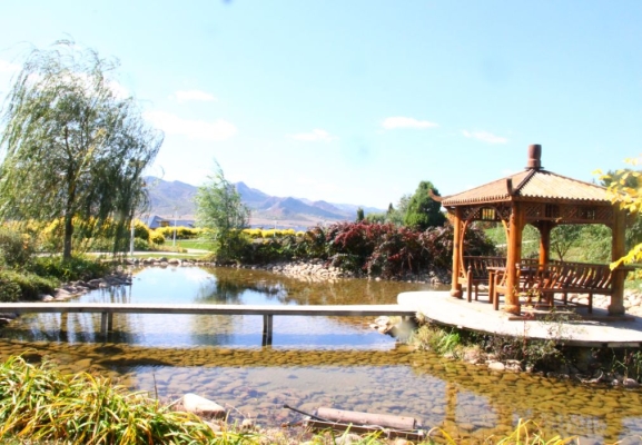 赤峰市區(qū)撿石頭養(yǎng)魚電話號碼-第1張圖片