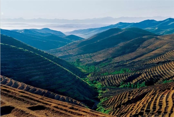 赤峰金達(dá)評戲團(tuán)電話地址查詢-第1張圖片