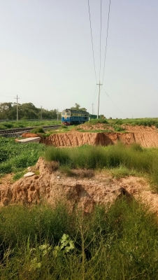 赤峰天山種鴨基地電話號碼-第1張圖片