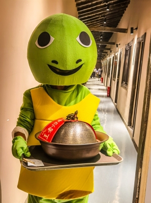 赤峰哪有甲魚賣呀電話號(hào)是多少-第1張圖片