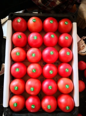 赤峰市草莓配送公司電話(huà)號(hào)碼-第1張圖片