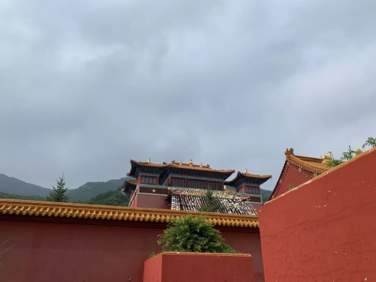 赤峰哪有養(yǎng)蜂場啊電話多少-第1張圖片