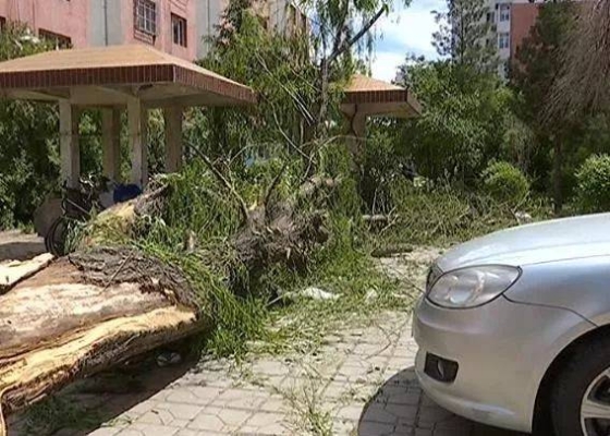 赤峰市永巨街辦電話號碼-第1張圖片