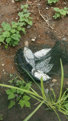 赤峰市新手釣魚地點電話號碼-第1張圖片