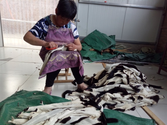 赤峰貂皮服裝加工廠電話號(hào)碼-第1張圖片
