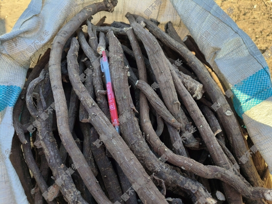 赤峰狗籠批發(fā)電話地址查詢-第1張圖片