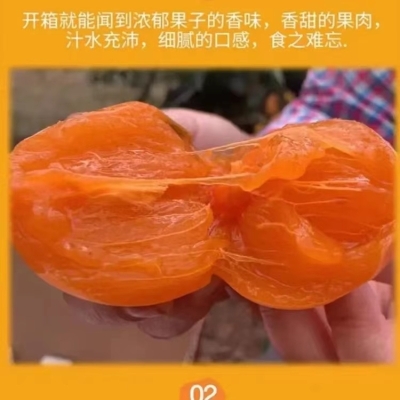 赤峰收柿子客商電話是多少號(hào)-第1張圖片