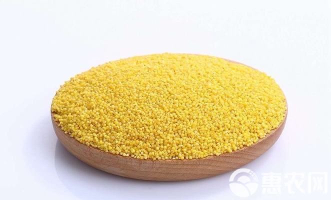 赤峰小米官方維修點(diǎn)電話號(hào)碼-第1張圖片