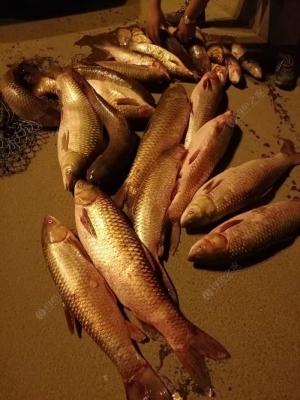 赤峰水泉釣魚場電話多少號-第1張圖片