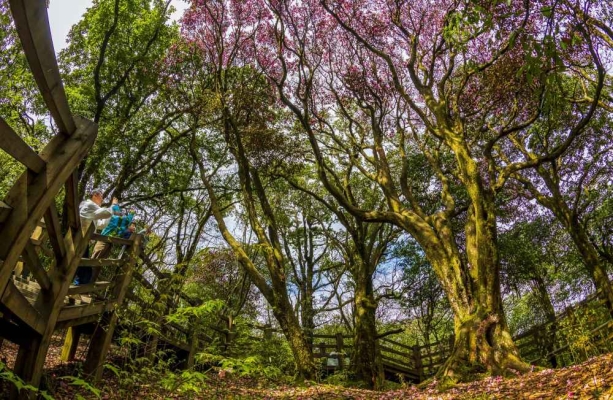 赤峰鴿子山露營基地電話號(hào)碼-第1張圖片