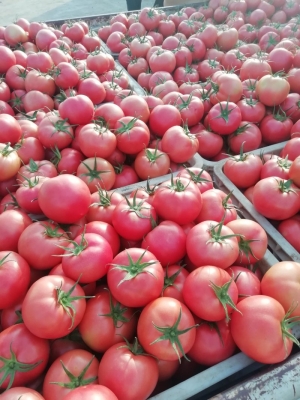 赤峰百微生活超市電話號碼-第1張圖片