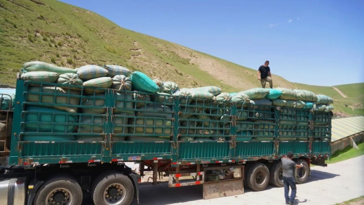 赤峰市羊毛收購(gòu)電話(huà)號(hào)碼-第1張圖片