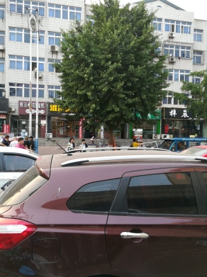 赤峰林西美發(fā)店電話號碼-第1張圖片