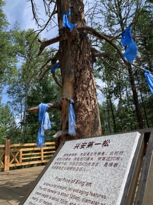 赤峰到阿爾山公交車電話號碼-第1張圖片