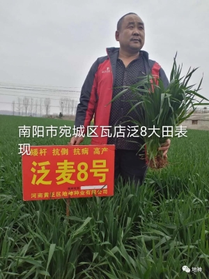 內(nèi)蒙禾為貴種業(yè)公司官網(wǎng)-第1張圖片