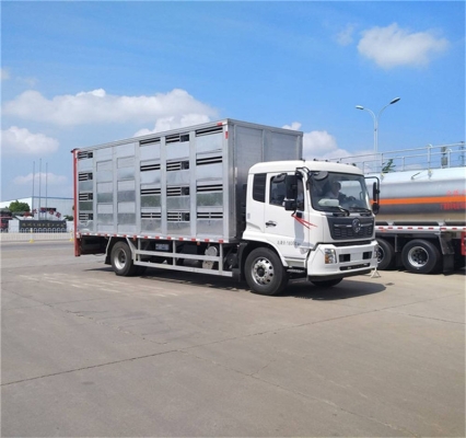 赤峰家育豬場聯(lián)系電話號碼-第1張圖片