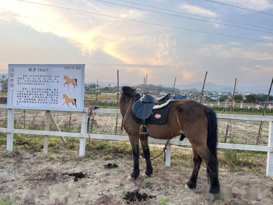赤峰馬場售馬車電話號碼是多少-第1張圖片