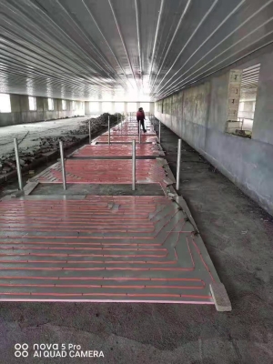 赤峰豬舍地暖電話多少啊-第1張圖片