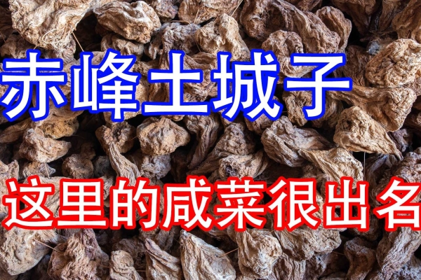 赤峰賣放羊狗的地方電話號碼-第1張圖片