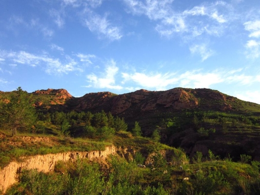 赤峰紅山區(qū)聯防聯控電話號碼-第1張圖片