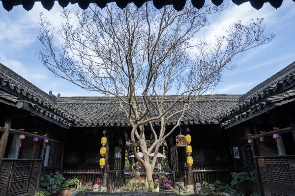 赤峰林家大院電話號(hào)碼多少-第1張圖片