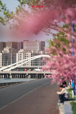 赤峰翩然舞館電話號(hào)碼多少-第1張圖片