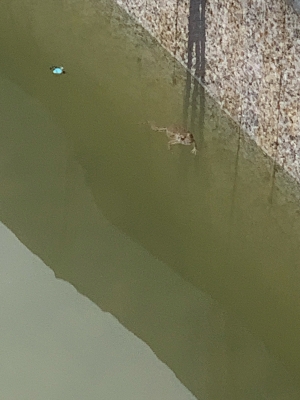 赤峰平莊維麥蛋糕電話號(hào)碼-第1張圖片