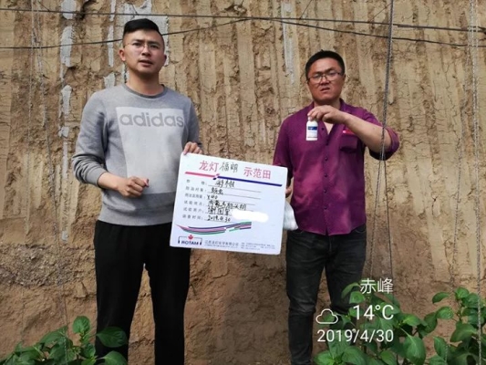 赤峰大棚垂釣園電話多少號-第1張圖片