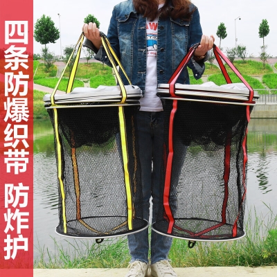 赤峰裝魚袋子的地方電話是多少-第1張圖片