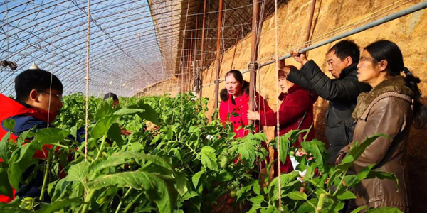 赤峰種植基地公司電話號碼查詢-第1張圖片