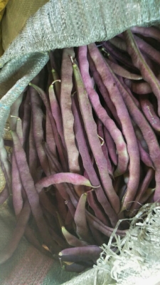 赤峰京香地下超市電話號(hào)碼-第1張圖片