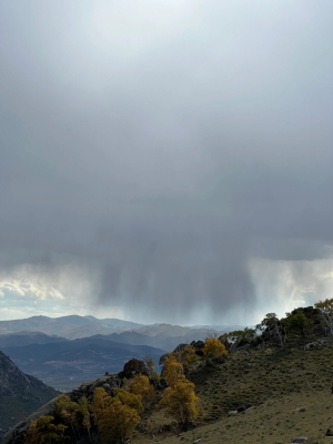 赤峰千惠折扣店電話號(hào)碼-第1張圖片