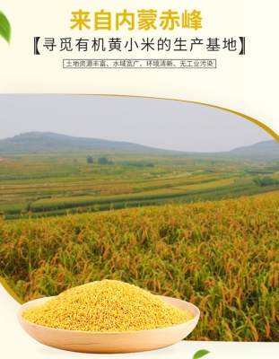 赤峰小米加工廠招聘電話號碼-第1張圖片