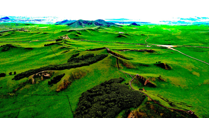 赤峰草坪基地-第1張圖片